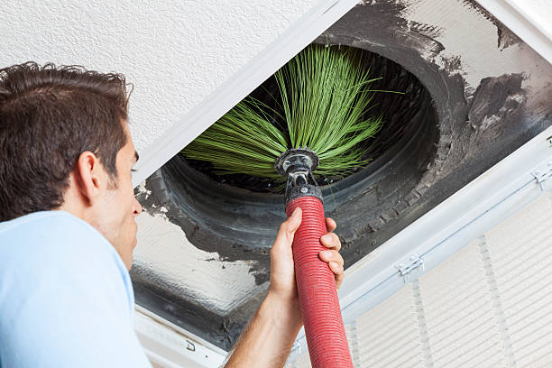 Best Air Duct Sanitization & Disinfection in Vardaman, MS